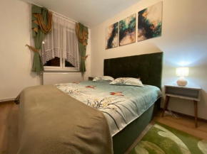 Apartament Dinu Toplita